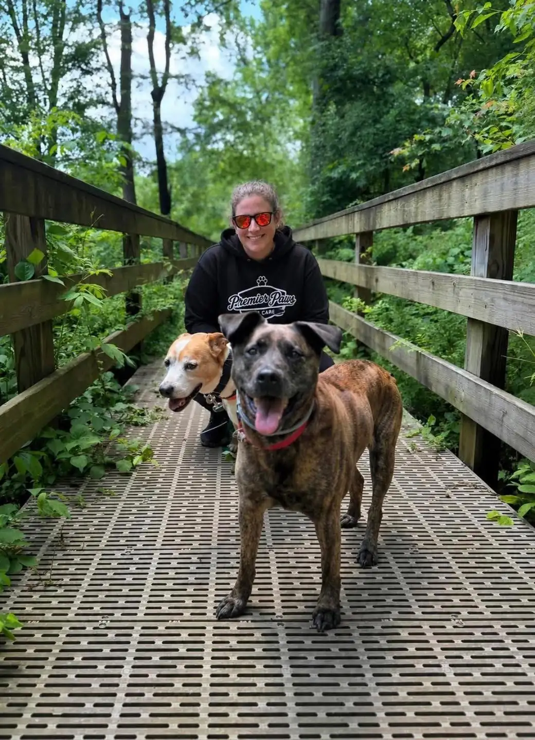 Jessie crouching between two happy dogs on a wooden footbridge along a wooded trail
