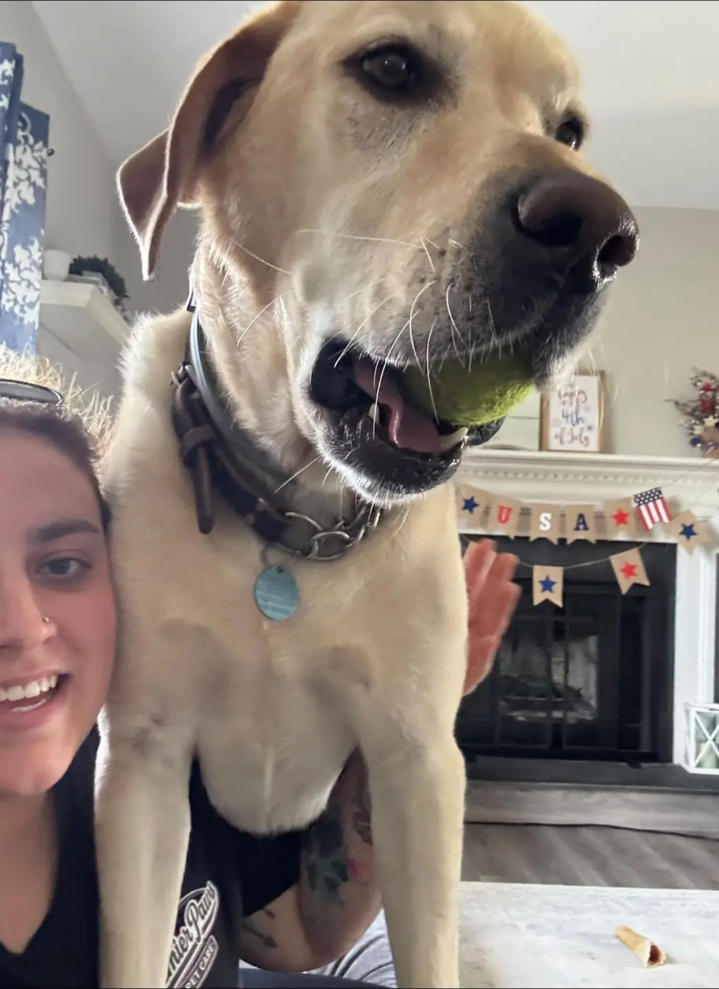 Team member taking a selfie with a yellow Lab holding a tennis ball in a living room